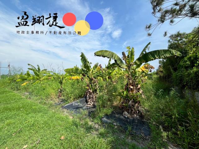 新埤農地-2