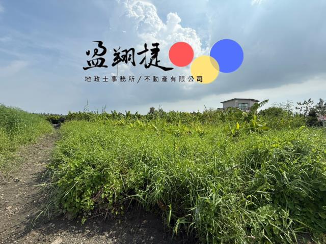 新埤農地-3