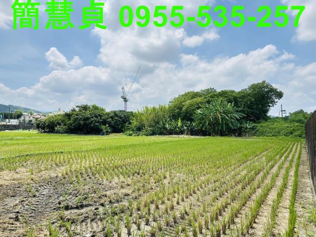 草屯特定目的事業用地-2