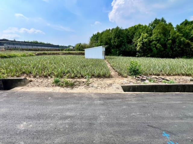 名間新街343坪農地小農舍
