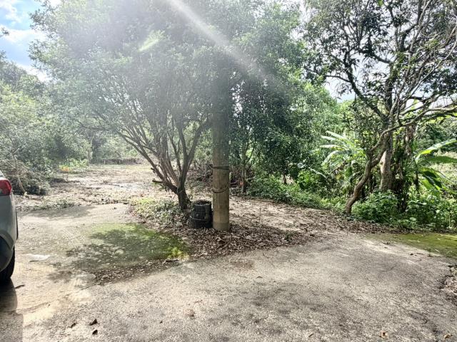 中寮農地-3