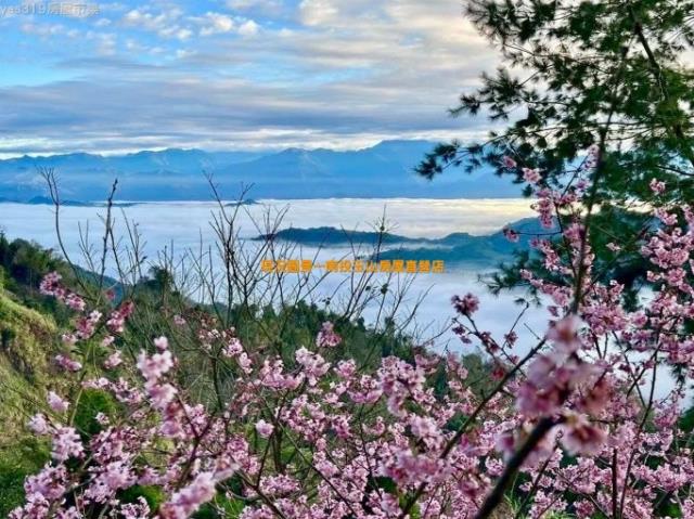 國姓高海拔雲海仙境農莊1甲4農建地