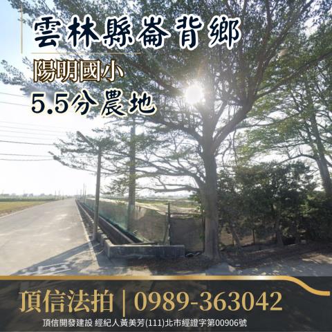 雲林農地法拍-2