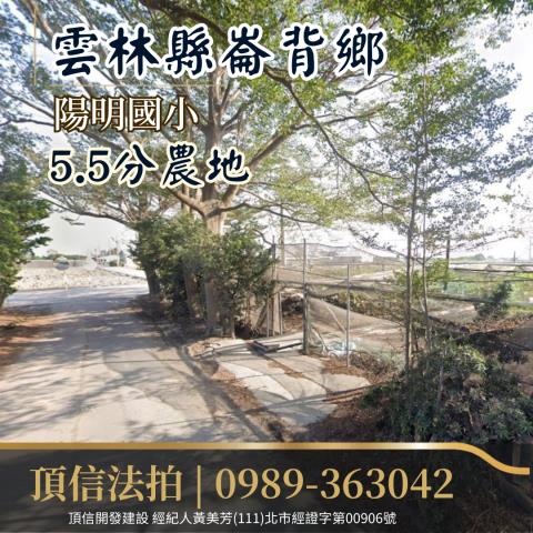 雲林農地法拍-3