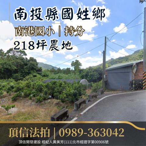 南投農地法拍-1