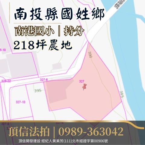 南投農地法拍-4