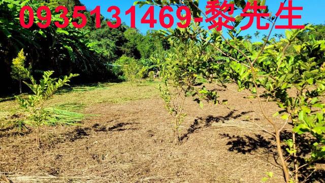 新竹橫山農地-11