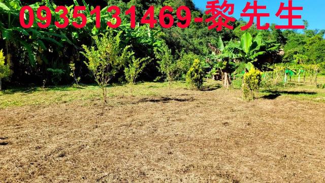 新竹橫山農地-6