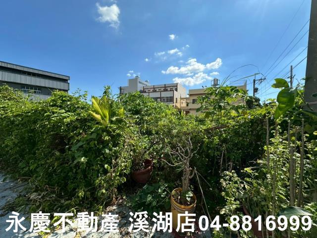 彰化埔心農地-6