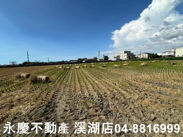 彰化田尾農地-12