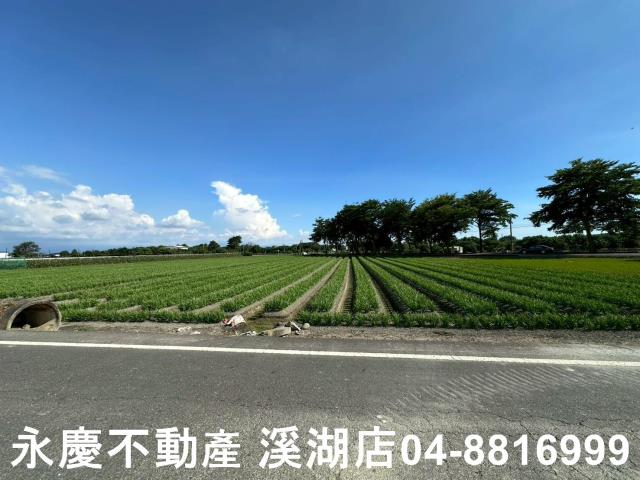 彰化田尾農地-1