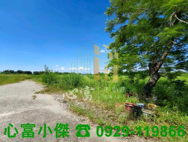 新化工業地-0