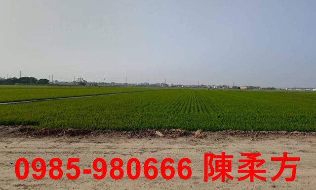 鹿草農地-13