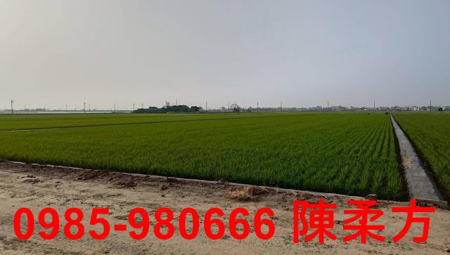 鹿草農地-0