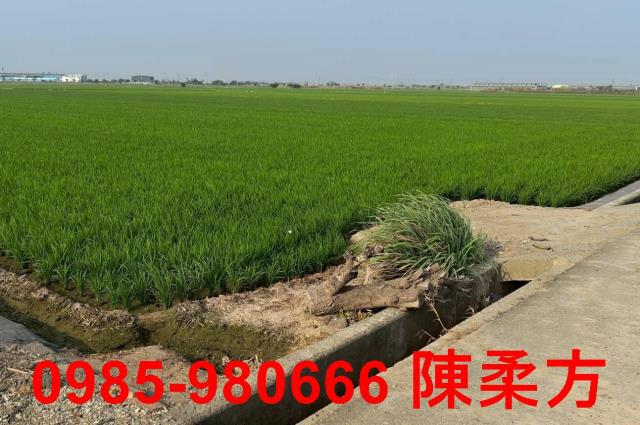 鹿草農地-2
