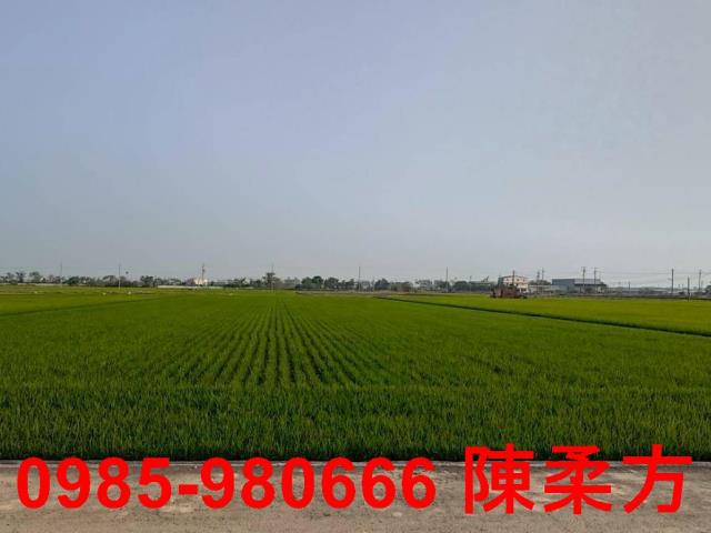 鹿草農地-7