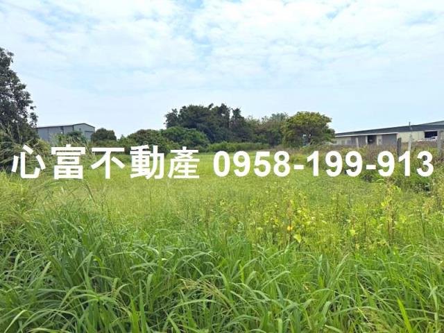 南區農地-0