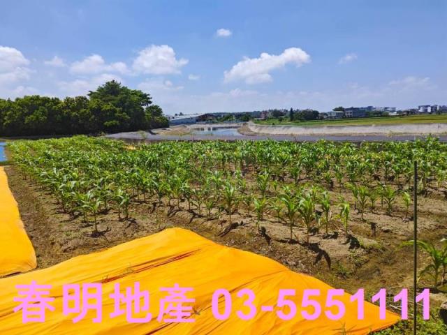 新豐農地-1