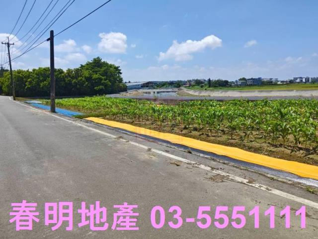 新豐農地-2