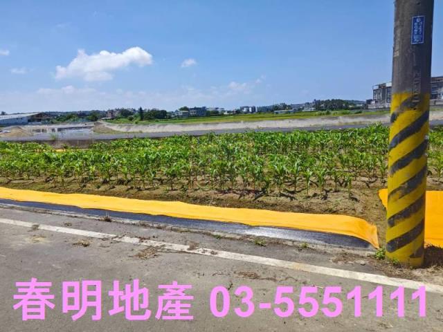新豐農地-3