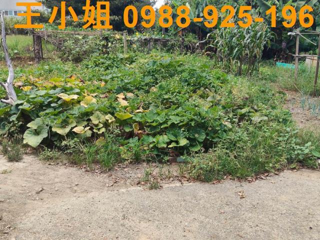 楊梅建地-1