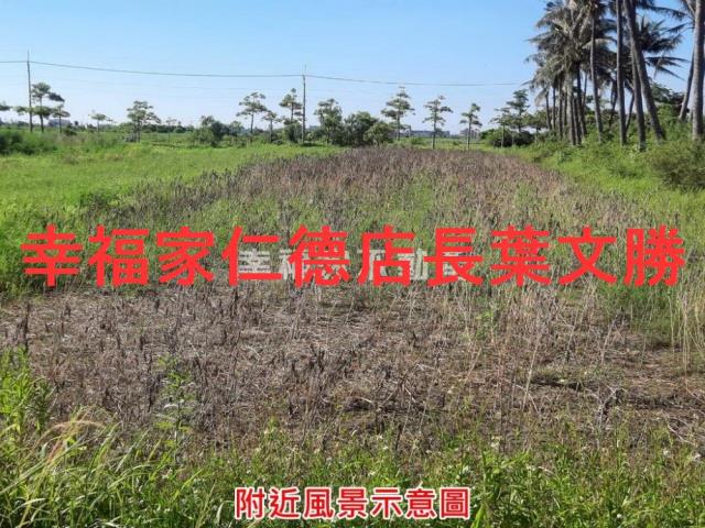 七股農地-13