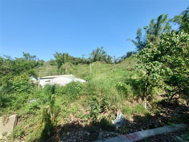 高雄仁武農地-1
