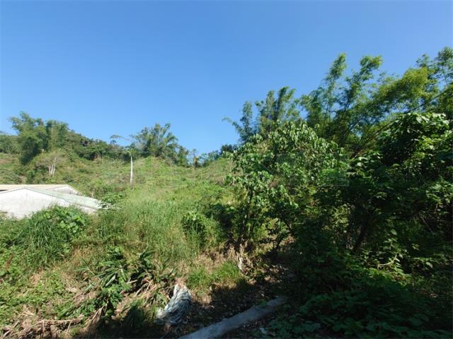 高雄仁武農地-5