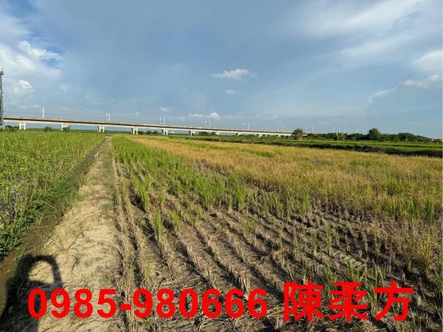 嘉義鹿草農地-0