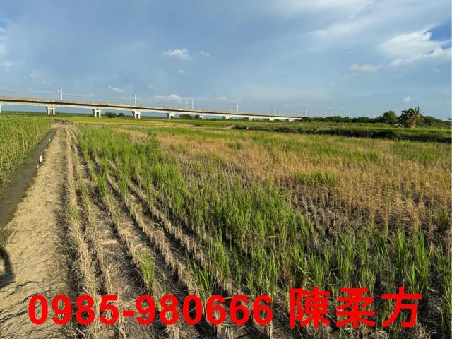 嘉義鹿草農地-1