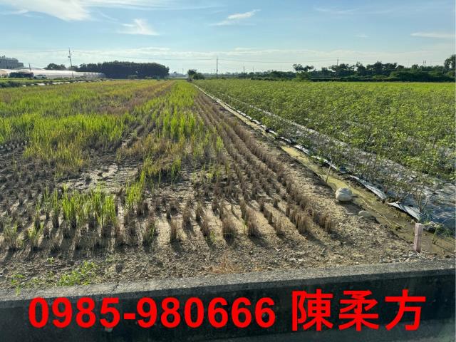 嘉義鹿草農地-2