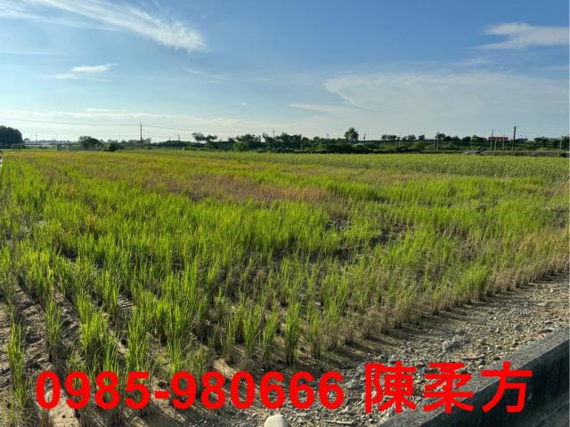 嘉義鹿草農地-3