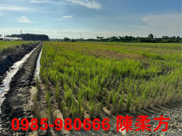 嘉義鹿草農地-4