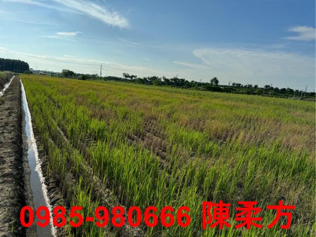 嘉義鹿草農地-5