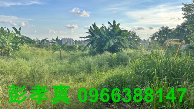 台中北屯農地-4