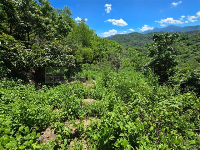 高雄杉林山坡地-10