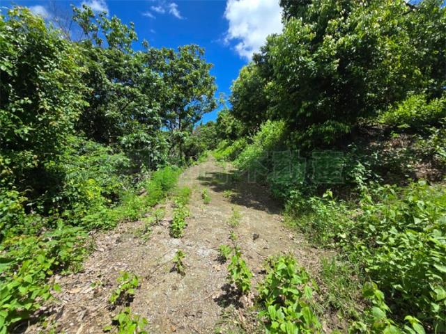 高雄杉林山坡地-3