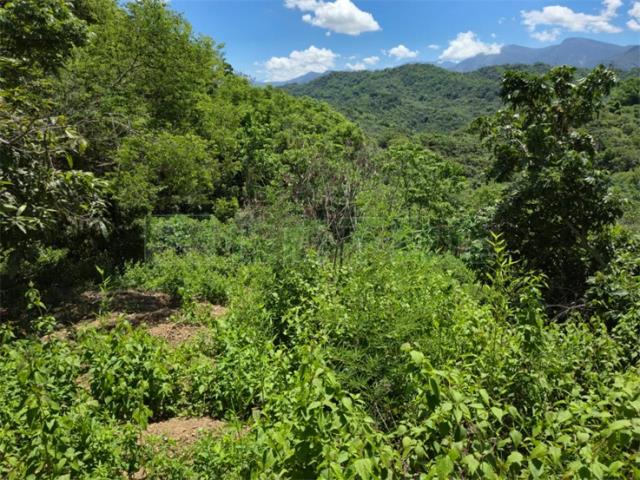 高雄杉林山坡地-8