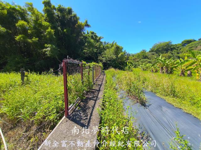 台南新化農地-5