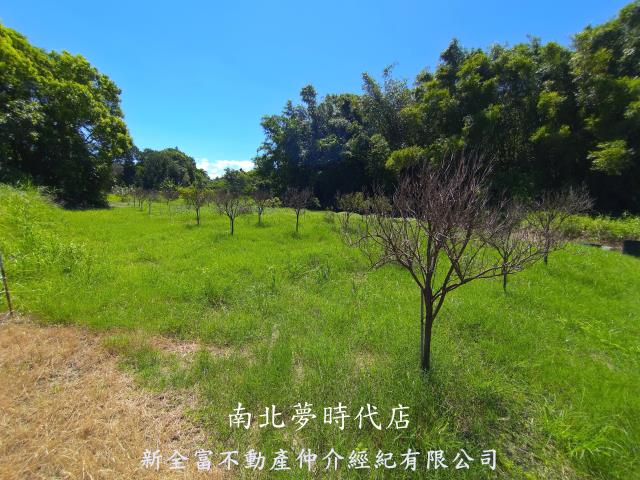 台南新化農地-6