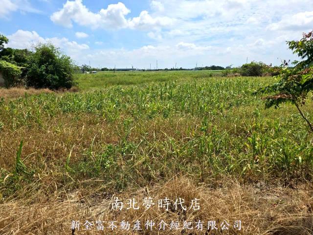台南佳里農地-9