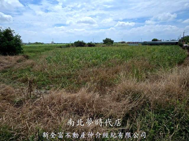 台南佳里農地-0