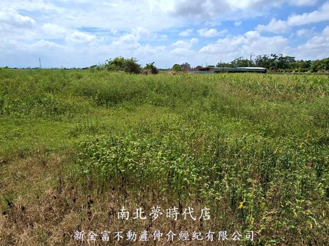 台南佳里農地-6