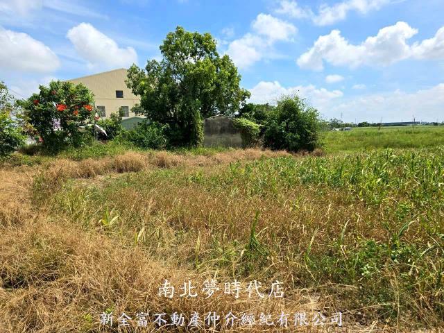 台南佳里農地-8