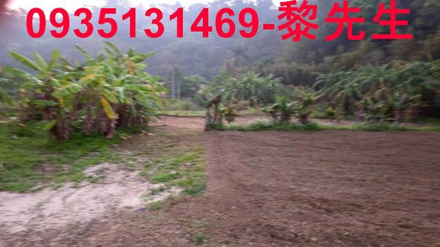新竹橫山農地-13