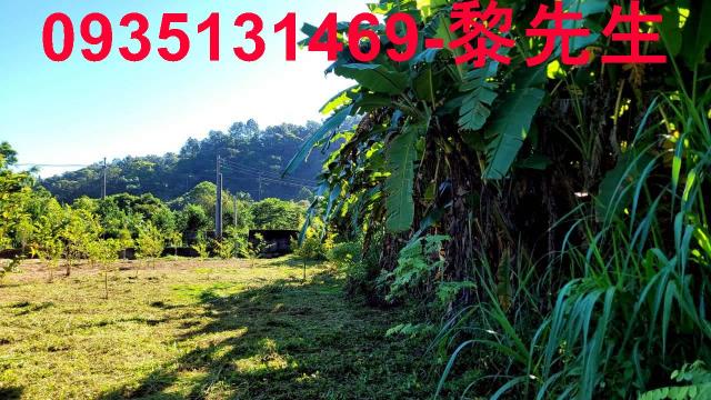 新竹橫山農地-1
