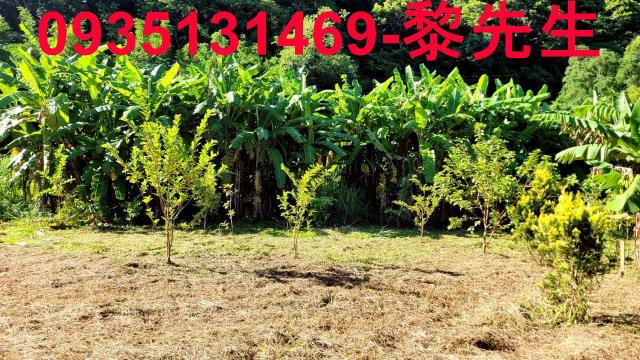 新竹橫山農地-6