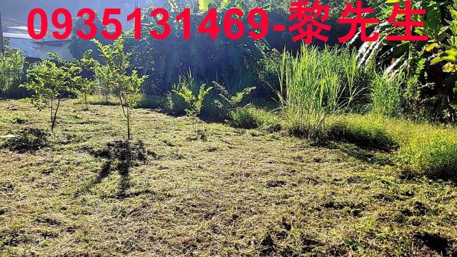 新竹橫山農地-8
