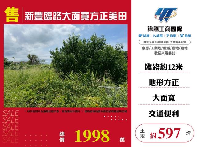新竹新豐農地-0