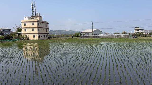 台中后里農地-6